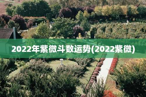 2022年紫微斗数运势(2022紫微)