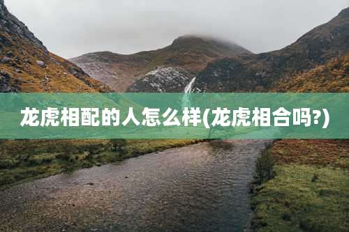 龙虎相配的人怎么样(龙虎相合吗?)