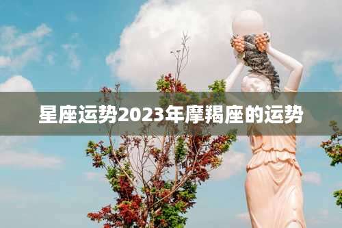 星座运势2023年摩羯座的运势