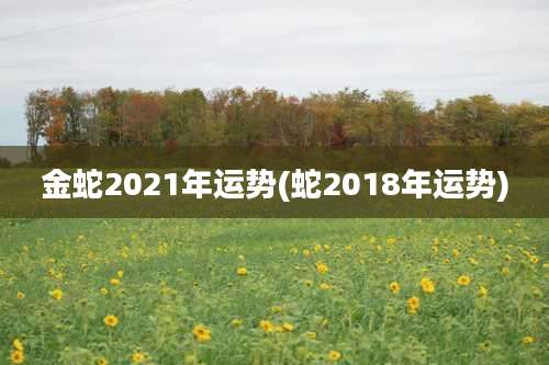 金蛇2021年运势(蛇2018年运势)