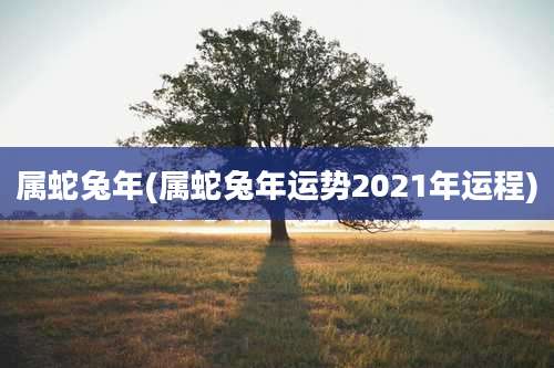 属蛇兔年(属蛇兔年运势2021年运程)