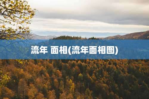 流年 面相(流年面相图)