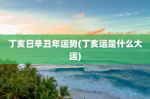 丁亥日辛丑年运势(丁亥运是什么大运)