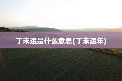 丁未运是什么意思(丁未运年)
