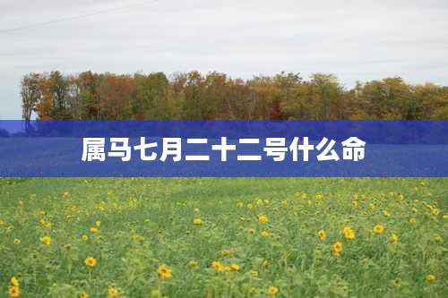 属马七月二十二号什么命