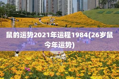 鼠的运势2021年运程1984(26岁鼠今年运势)