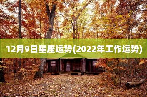 12月9日星座运势(2022年工作运势)