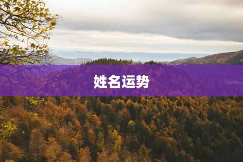 姓名运势