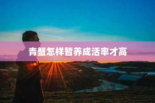 青蟹怎样暂养成活率才高