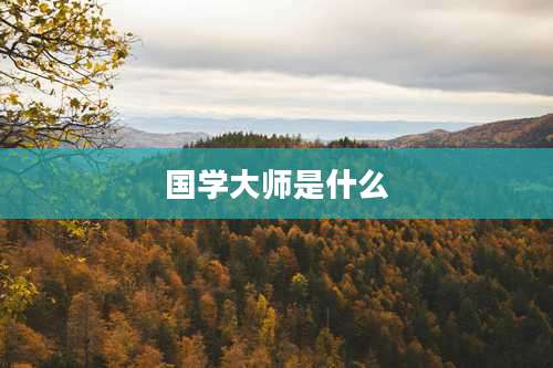 国学大师是什么