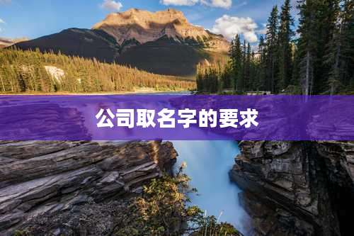 公司取名字的要求