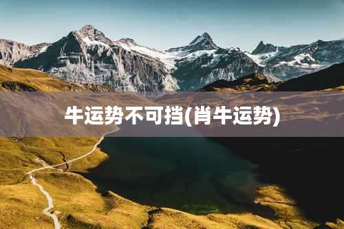 牛运势不可挡(肖牛运势)