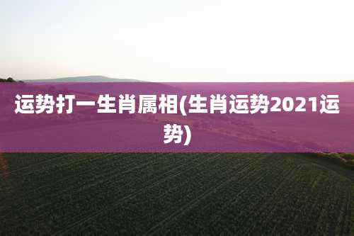 运势打一生肖属相(生肖运势2021运势)