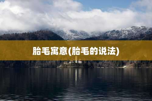 胎毛寓意(胎毛的说法)