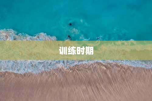训练时期