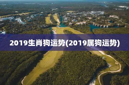 2019生肖狗运势(2019属狗运势)