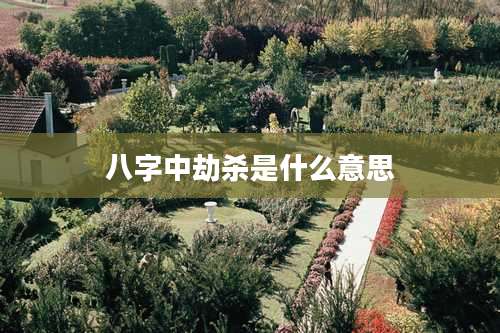 八字中劫杀是什么意思