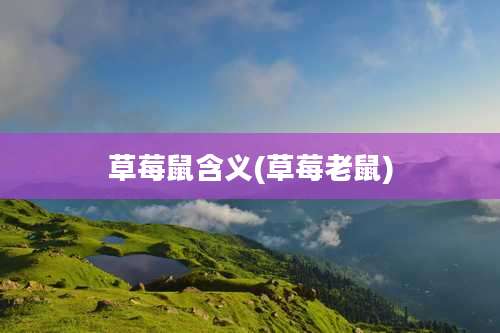 草莓鼠含义(草莓老鼠)