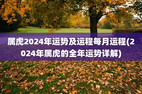 属虎2024年运势及运程每月运程(2024年属虎的全年运势详解)