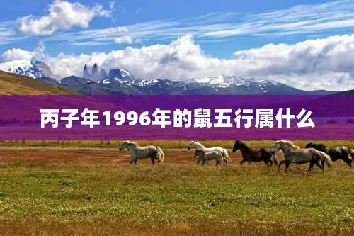 丙子年1996年的鼠五行属什么