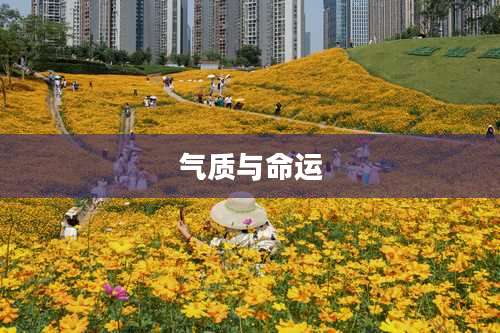 气质与命运