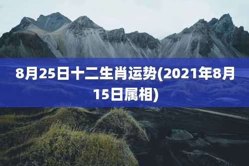 8月25日十二生肖运势(2021年8月15日属相)
