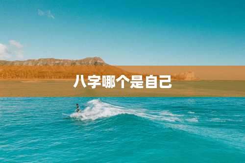 八字哪个是自己