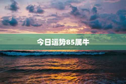 今日运势85属牛