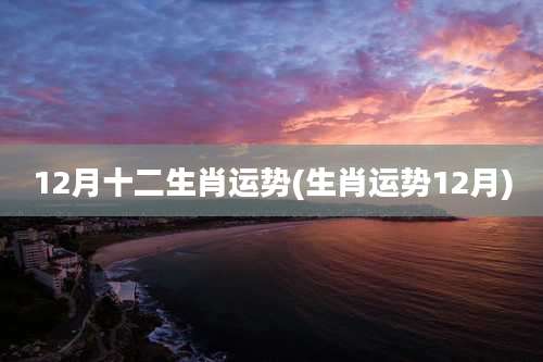 12月十二生肖运势(生肖运势12月)