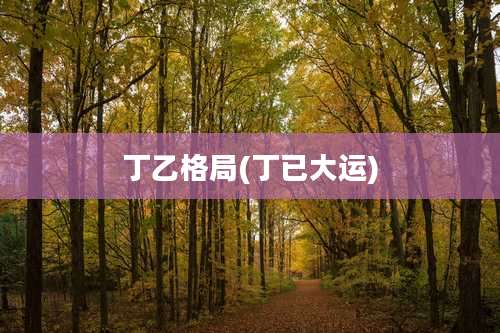 丁乙格局(丁已大运)