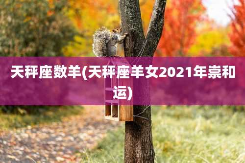 天秤座数羊(天秤座羊女2021年崇和运)