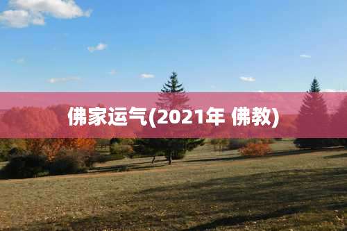 佛家运气(2021年 佛教)