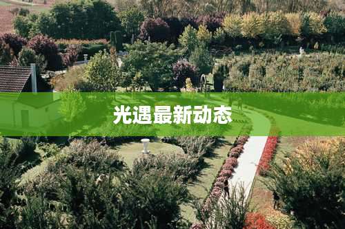 光遇最新动态