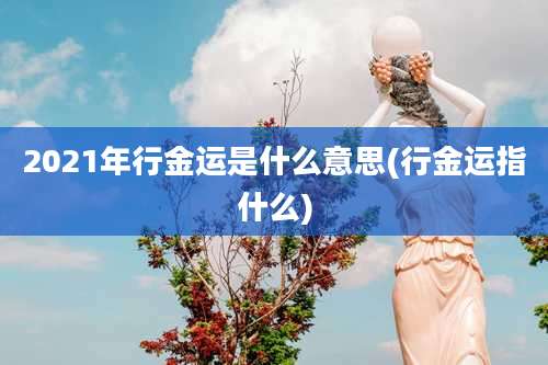 2021年行金运是什么意思(行金运指什么)