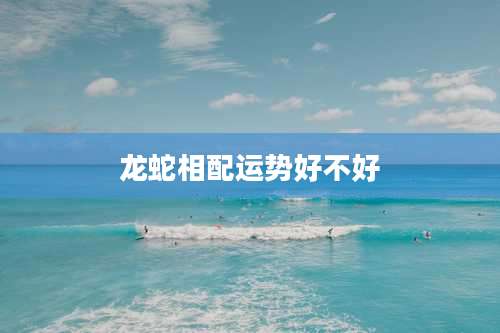 龙蛇相配运势好不好