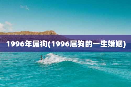1996年属狗(1996属狗的一生婚姻)
