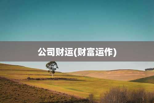 公司财运(财富运作)