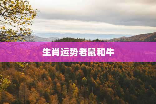 生肖运势老鼠和牛
