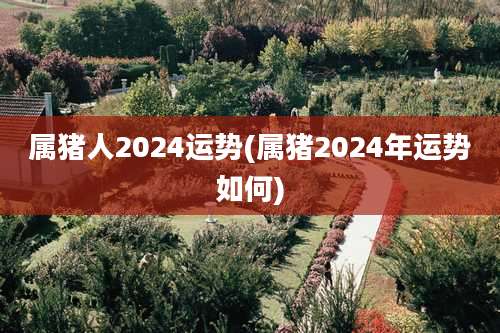 属猪人2024运势(属猪2024年运势如何)