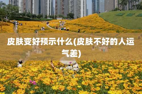 皮肤变好预示什么(皮肤不好的人运气差)