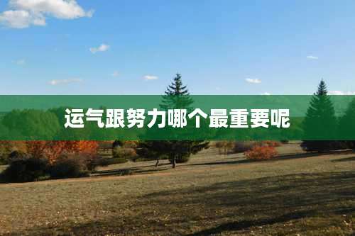 运气跟努力哪个最重要呢