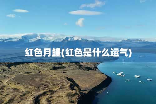红色月鳢(红色是什么运气)