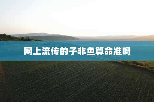 网上流传的子非鱼算命准吗