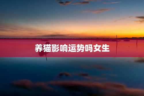 养猫影响运势吗女生