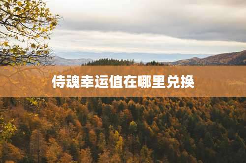 侍魂幸运值在哪里兑换