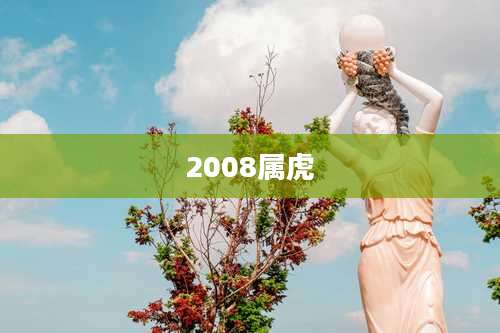 2008属虎