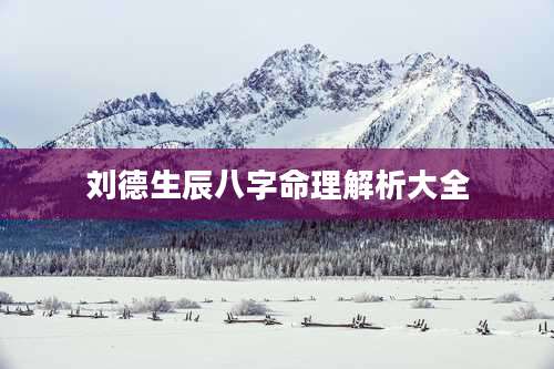 刘德生辰八字命理解析大全