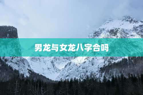 男龙与女龙八字合吗