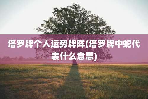 塔罗牌个人运势牌阵(塔罗牌中蛇代表什么意思)