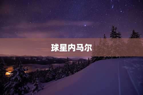 球星内马尔